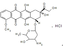 03 搜索:肿瘤