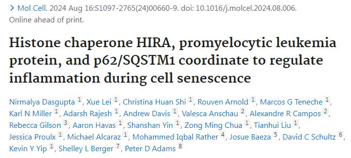 组蛋白伴侣HIRA、早幼粒细胞白血病蛋白和p62/SQSTM1协同调节细胞衰老过程中的炎症