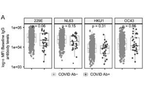 Nature 子刊：针对普通感冒冠状病毒的抗体或可预防 COVID-19感染