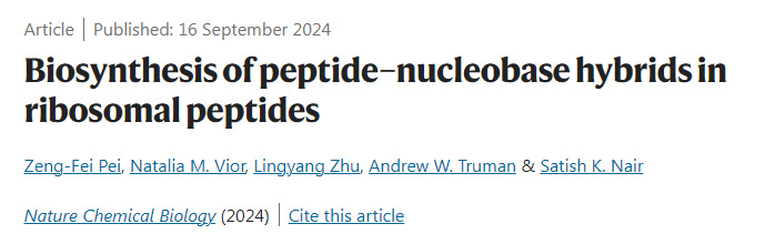 
核糖体肽中肽-核碱基杂合物的生物合成