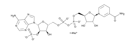 NAPH（氧化型辅酶II）