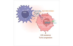 Cancer Cell发现了一些癌症对免疫治疗没有反应的关键原因：代谢机制阻碍免疫反应