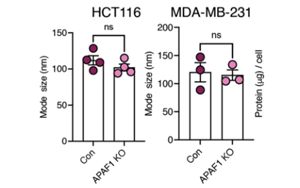 Nature Cancer：肿瘤细胞分泌的EV-DNA作为一种“危险”信号，促进抗转移性免疫反应