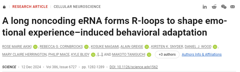 长的非编码eRNA形成R环，以塑造情绪体验诱导的行为适应