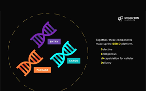 Science重磅：张锋领衔开发全新mRNA递送平台SEND，开辟分子疗法递送新方法