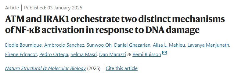 ATM和IRAK1协调两种不同的NF-κB激活机制以应对DNA损伤