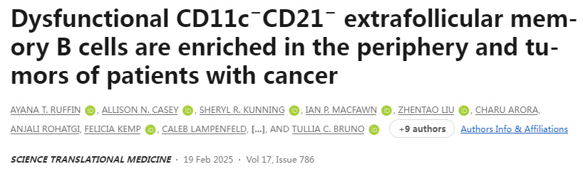 功能失调的CD11c−CD21−毛囊外记忆B细胞在癌症患者的外周和肿瘤中富集