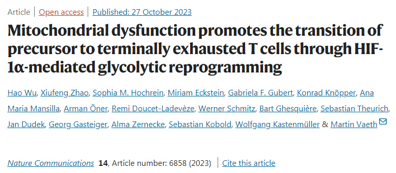 线粒体功能障碍通过HIF-1α介导的糖酵解重编程促进前体向最终衰竭的T细胞的转变
