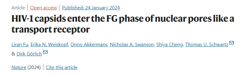 HIV-1的衣壳像细胞的货物受体一样进入细胞核