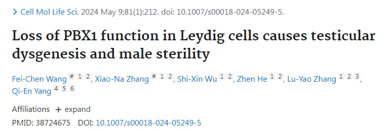 睾丸间质细胞PBX1功能的丧失导致睾丸发育不良和雄性不育