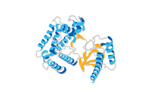 新质赋能 重组人源化Ⅲ型胶原蛋白