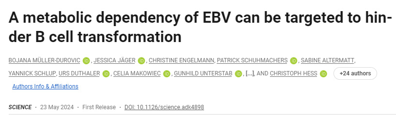 EBV的代谢依赖性可以靶向阻碍B细胞转化