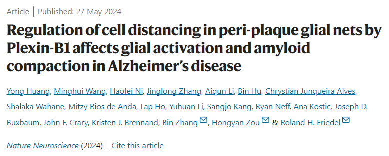 Plexin-B1对阿尔茨海默病斑块周围神经胶质网细胞距离的调节影响神经胶质活化和淀粉样蛋白压实