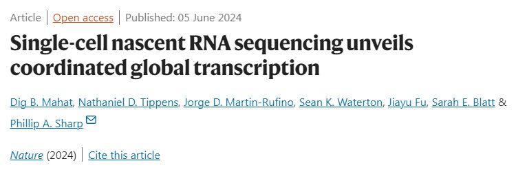 单细胞新生RNA测序揭示协调的全球转录