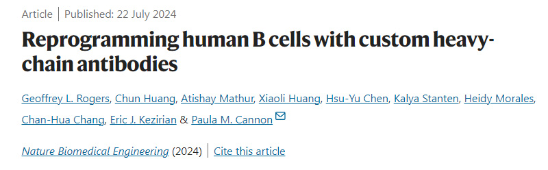 用定制的重链抗体重新编程人类B细胞
