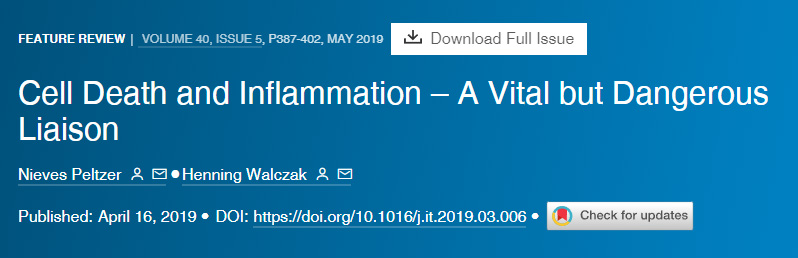 细胞死亡和炎症重要但危险的联系