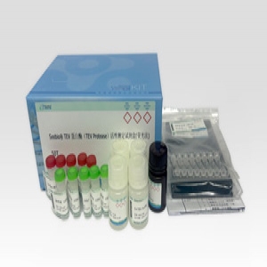 Seebio® TEV 蛋白酶（TEV Protease）活性测定试剂盒（荧光法）